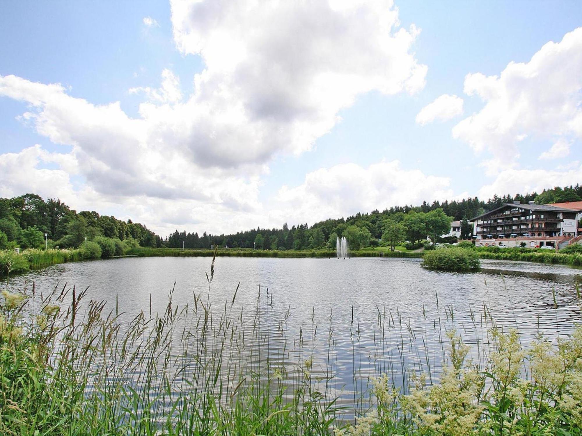 Ferienwohnung In Hahnenklee Гослар Экстерьер фото